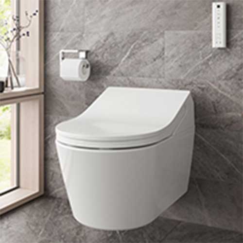 porcelain toilet